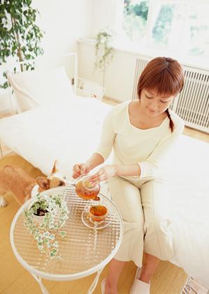 鹿児島でのペット葬儀の選び方ガイド：信頼できるサービスと心のケアを見つける方法